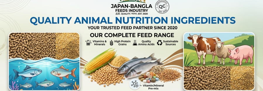 Japan-Bangla Feeds animal nutrition ingredients banner showing high-quality feed pellets for poultry, cattle, and fish farming in Bangladesh