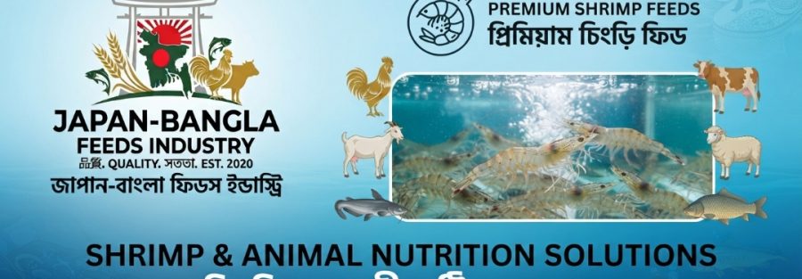 High-quality shrimp feed pellets from Japan-Bangla Feeds Ind. Ltd., the leading shrimp feed manufacturer Bangladesh supporting local farmers.