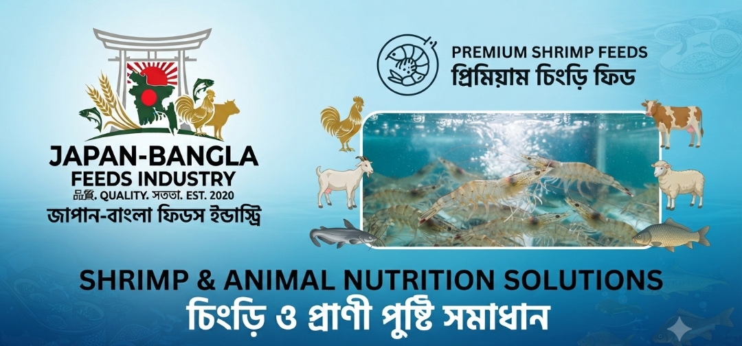 High-quality shrimp feed pellets from Japan-Bangla Feeds Ind. Ltd., the leading shrimp feed manufacturer Bangladesh supporting local farmers.