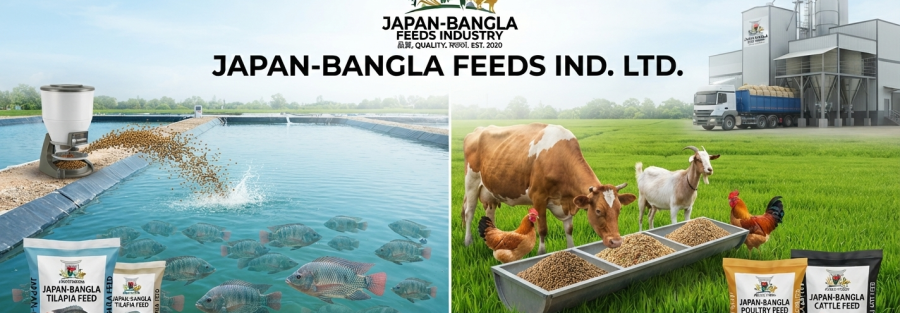 High-quality Tilapia feed Bangladesh floating pellets from Japan-Bangla Feeds Ind. Ltd. for healthy fish growth and better farm yields.